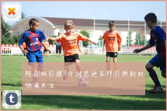 阿森纳引援B计划恩迪亚耶引热刺利物浦关注