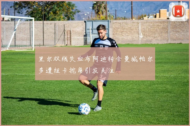 里尔双线失血布阿迪转会曼城帕尔多遭纽卡挖角引发关注