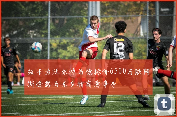 纽卡为沃尔特马德标价6500万欧阿斯透露马竞多特有意争夺