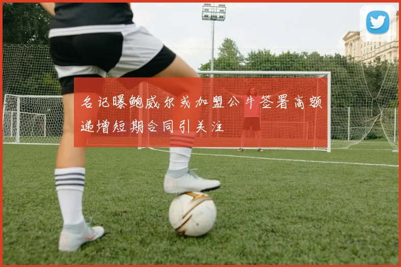 名记曝鲍威尔或加盟公牛签署高额递增短期合同引关注